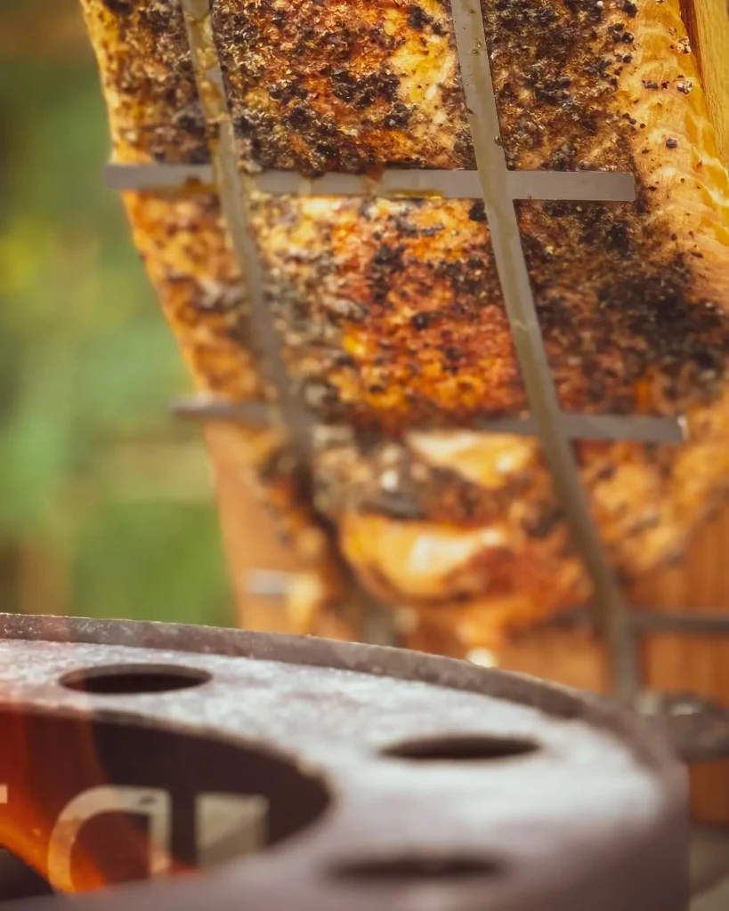 pieczenie łososia na grillu planchowym